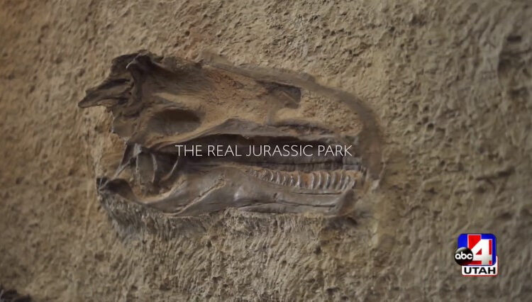 The 8 best attractions in Dinosaur National Monument

