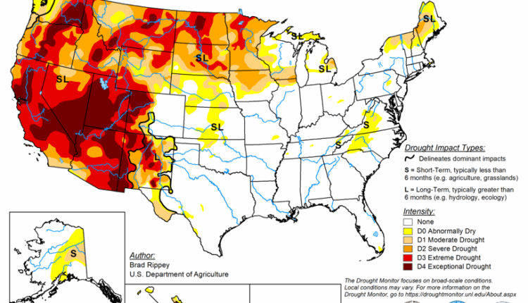   Lake Powell is on the verge of a record low, Colorado Springs in the middle of contingency planning |  Colorado Springs News

