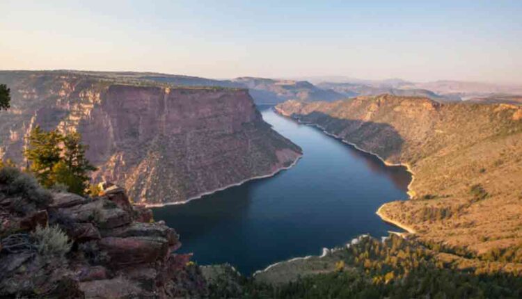 New Zealand Mudsnails, Curly Pondweed Discovered in Flaming Gorge
