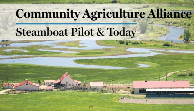 Community Agriculture Alliance: It takes a village

