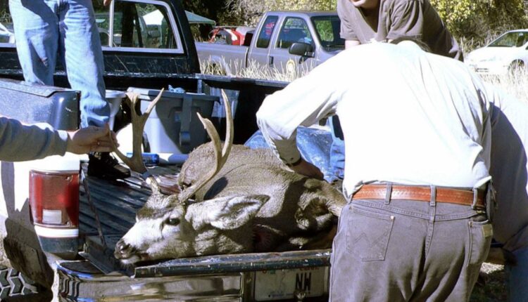 DWR asks deer hunters to visit check stations to test for disease