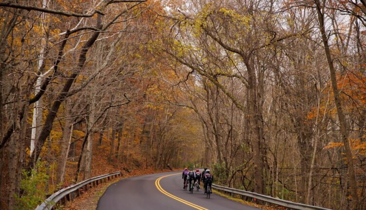 Cyclists descend a hill on Nov. 13 in Bloomington, Ind. (James Brosher for The Washington Post)