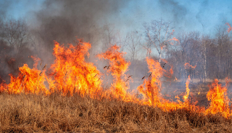 SE Wyoming faces an explosion of 65+ winds plus a red flag fire warning

