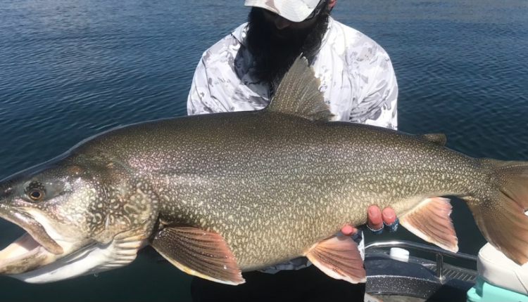 Man twirls in record breaking trout in Flaming Gorge

