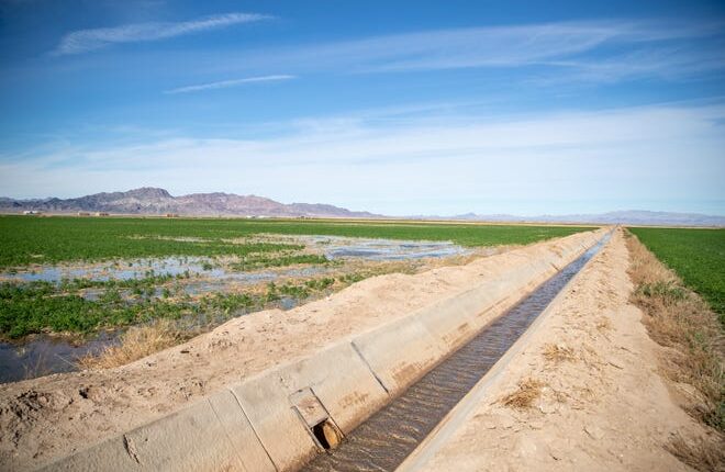 An alfalfa crop floods on December 10, 2021 on the Colorado River Indian Tribes Farms in Parker.