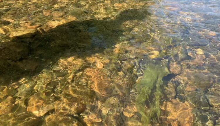 Restrictions lifted on Tongue, North Platte rivers
