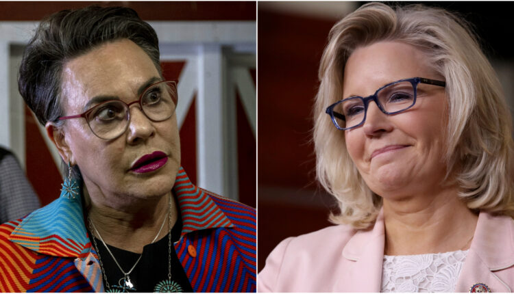 Cheney, Hageman Campaigns Rake In Millions, Set Wyoming Election Records
