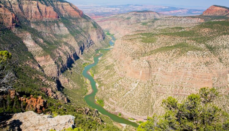 Cover-Green-River-FB-1024×683.jpeg