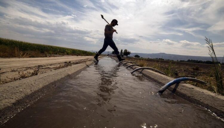  States mull unpleasant options as feds demand huge cuts on Colorado River |  News
