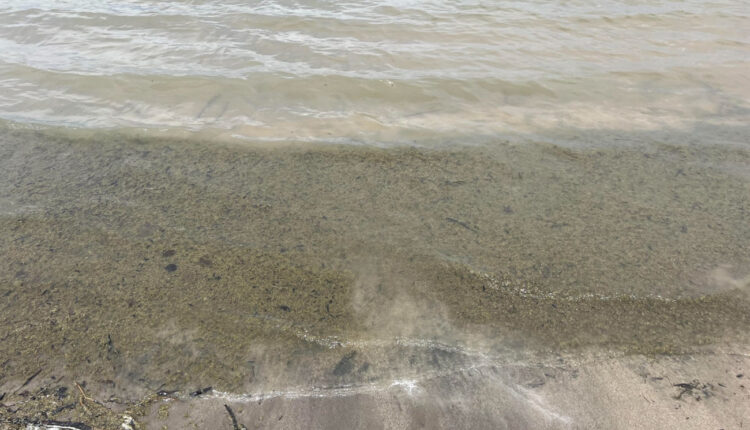  Harmful bloom advisories at Glendo, Flaming Gorge, Sloan Lake;  Pathfinder, Seminoe, Fontanelle under investigation
