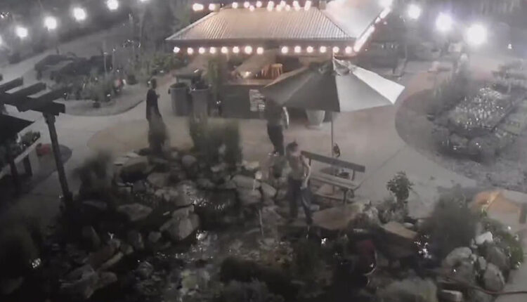 Teen vandals destroy koi pond, try to harm fish at Salt Lake City business