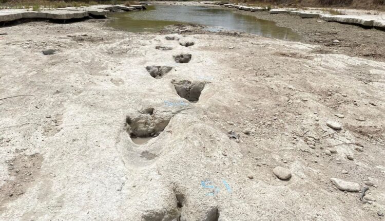 Dinosaur tracks discovered after drought dries up Texas river
