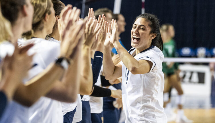  BYU Roundup: No.  16 Cougars open WCC season hosting LMU |  News, Sports, Jobs
