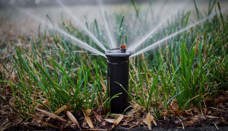 lawn-water-sprinkler-baa.jpg