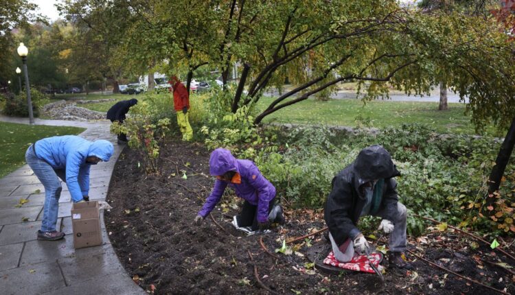 Daffodil bulb memorial honors Utahns killed by guns in 2021