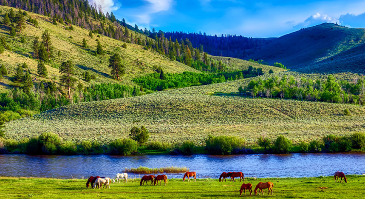 Federal funds fuel #Wyoming forest infrastructure projects: Money could help to address maintenance backlog as user numbers grow - WyoFile
