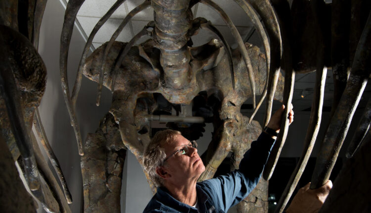BYU Geological Sciences chair discusses life of dinosaur studies, fossil-finding
