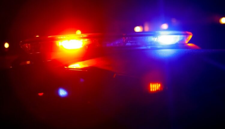 Police Report Traffic Death in Provo over the weekend – Magnetic Media
