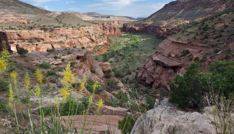 A #Water War Is Brewing Over the Dwindling #ColoradoRiver - ProPublica #COriver #aridification