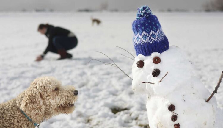 The Preza family dog, Chase, examines their snowman at 11th Avenue Park in Salt Lake City on Wednesday.