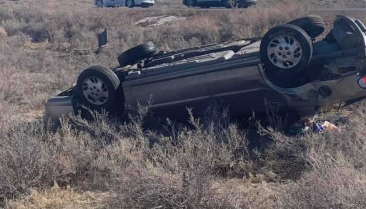 man-dog-die-in-uintah-accident.jpg